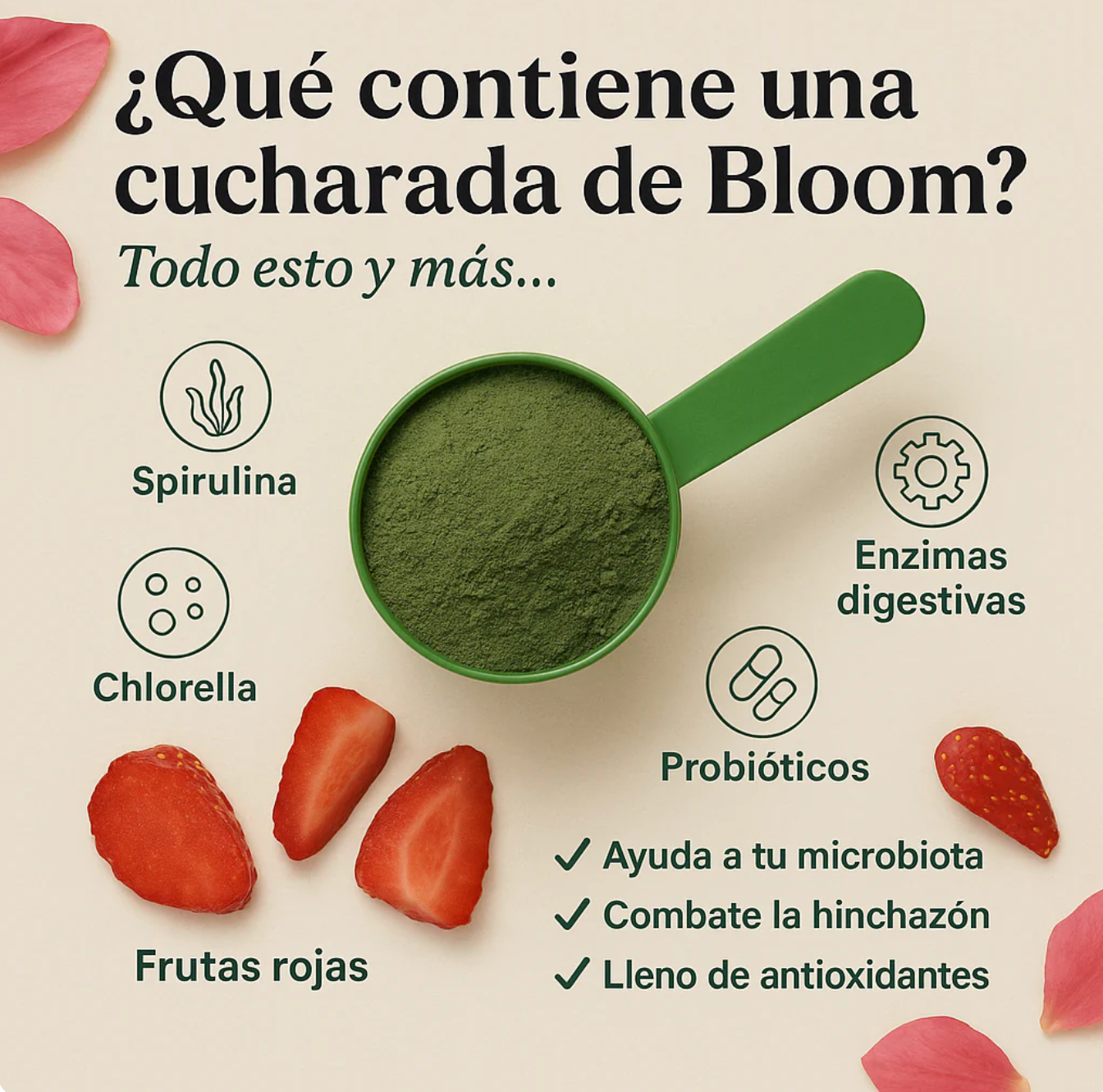 BLOOM GREEN + ENVIO GRATIS!