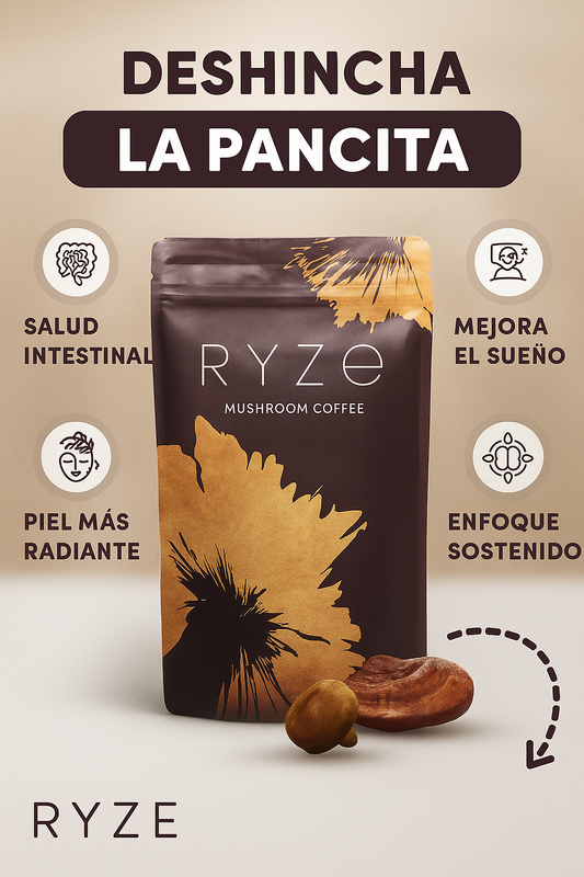 CAFE RYSE MELENA DE LEON + ENVIO GRATIS