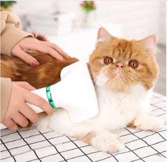 CEPILLO SECADOR PARA MASCOTAS + ENVIO GRATIS